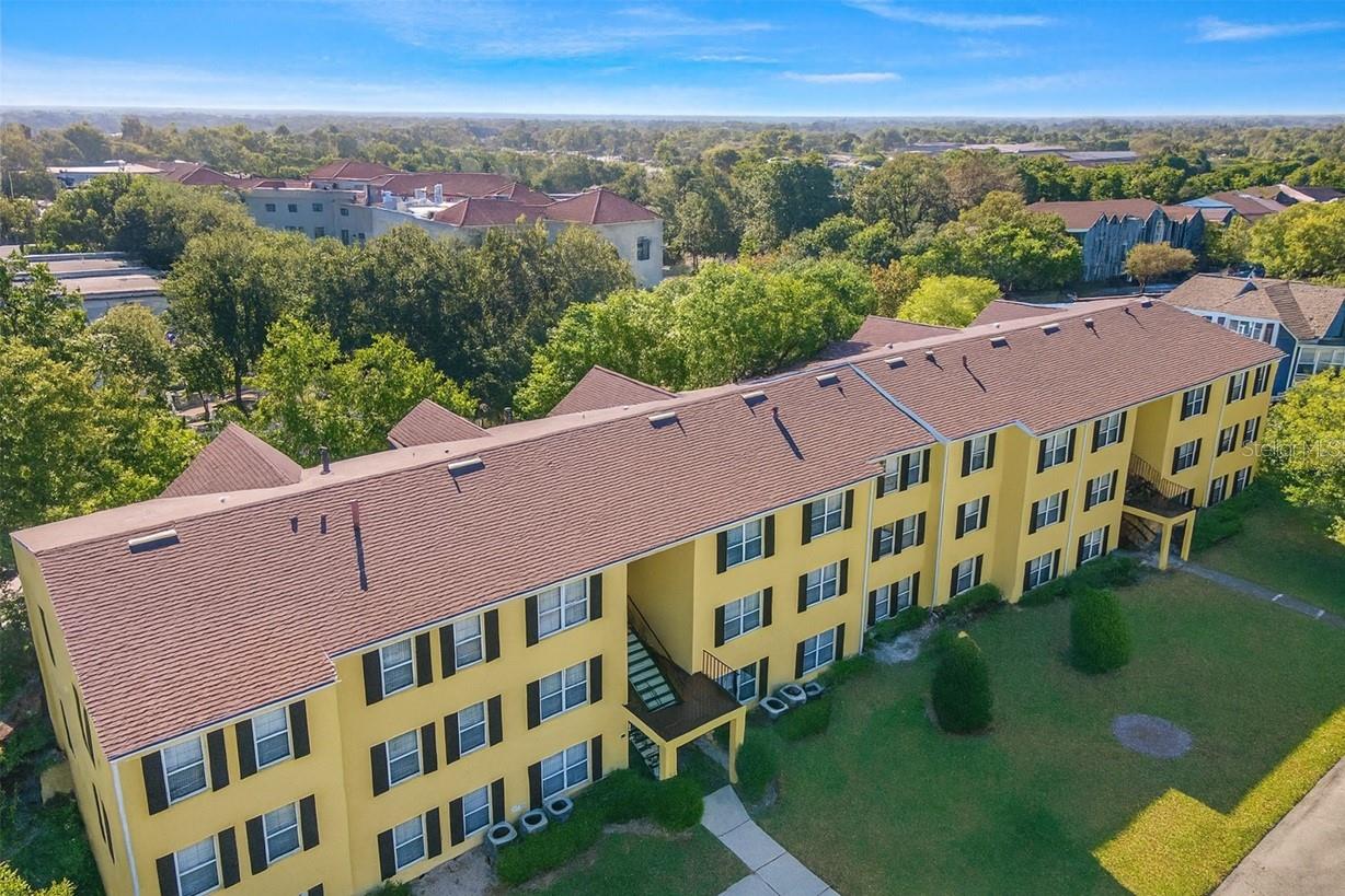 Orange -Dixie Belle Dr2059n - Imagem 2